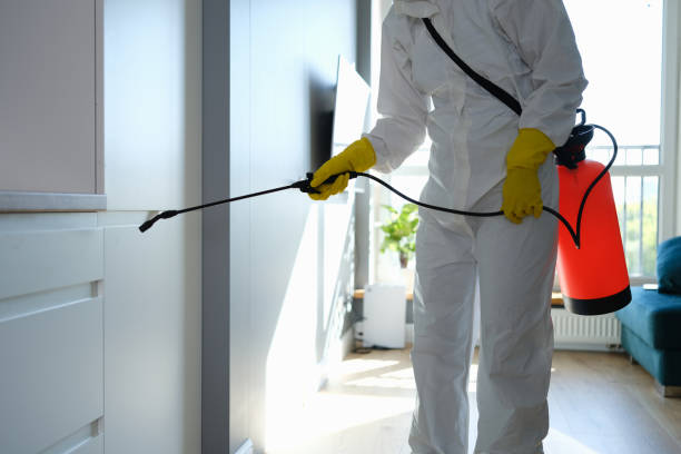 Best Mold Damage Repair  in Crete, IL